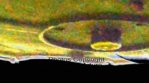 Effectplus_20160629_014040