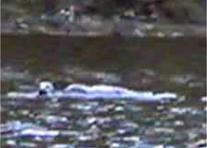 Screenshot_2016-04-29-06-29-14