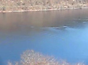 Screenshot_2016-02-02-14-29-00