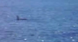 Screenshot_2016-05-27-09-12-03