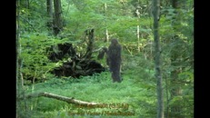 Screenshot_2015-11-29-05-15-09