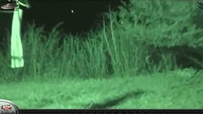 Screenshot_2015-12-07-11-50-53