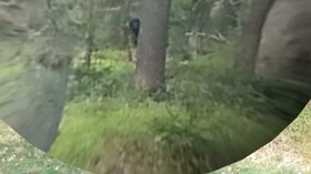 Screenshot_2015-11-18-09-57-06