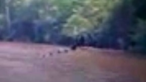 Effectplus_20151204_212449