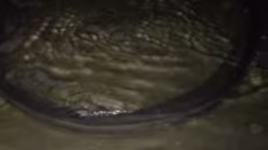 Screenshot_2016-02-19-02-26-01