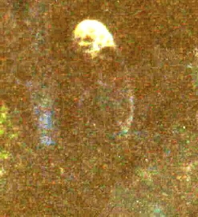 436aee8a.jpg