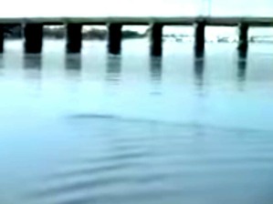 Screenshot_2016-06-26-07-52-26