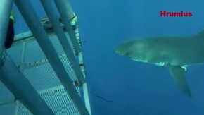 Screenshot_2015-12-22-18-26-49