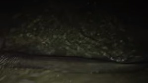 Screenshot_2016-02-19-02-25-34