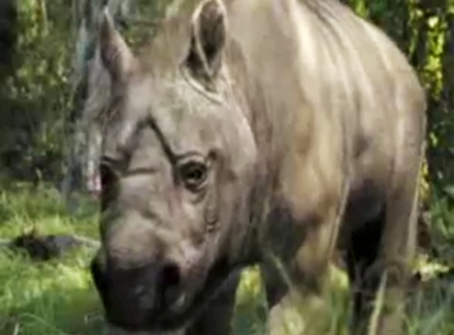 13SHOE・高野十座のブログ
	  ディプロトドンを探してみた【Looking for the Diprotodon】
	コメントトラックバック                高野 十座