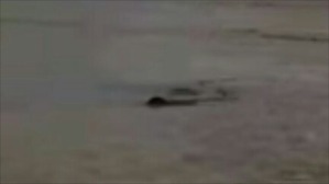 Screenshot_2016-04-12-22-32-27