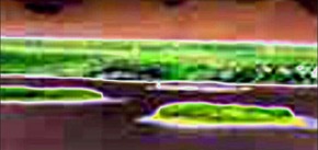 Effectplus_20160130_021240