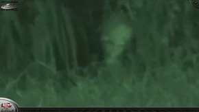 Screenshot_2015-12-07-11-50-02