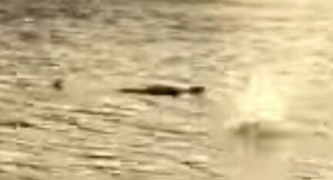 Screenshot_2016-04-10-14-53-05