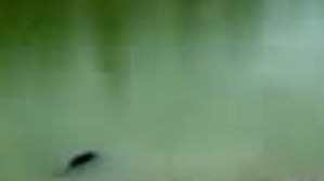 Screenshot_2016-06-26-03-19-31