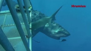 Screenshot_2015-12-22-18-28-41