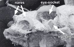 47cc4fcf.jpg