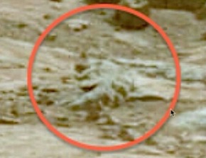 Screenshot_2016-01-30-07-04-57