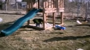 Screenshot_2016-03-04-15-31-15