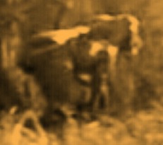 Effectplus_20160118_160419