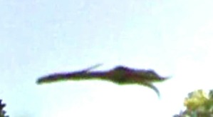 Screenshot_2016-02-19-15-30-46