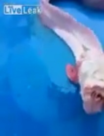 Screenshot_2016-04-30-08-06-59