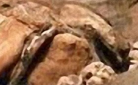 Screenshot_2015-09-17-09-59-50