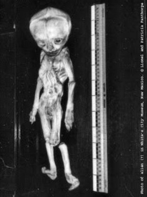 Screenshot_2015-12-21-00-22-43