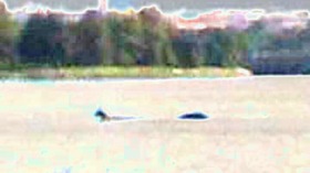 Effectplus_20151110_060832