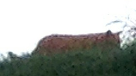 Screenshot_2016-06-14-13-43-35