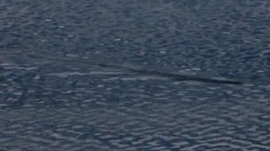 Screenshot_2016-03-01-22-45-55