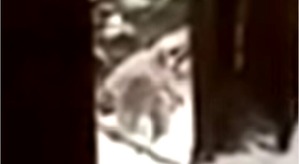 Screenshot_2016-05-07-17-36-05