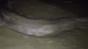 Screenshot_2016-02-19-02-25-16