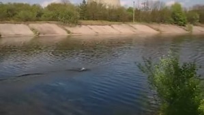 Screenshot_2016-07-01-03-31-35