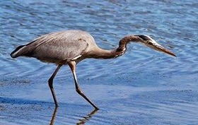 4c0a353a.jpg