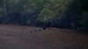 Screenshot_2015-12-04-21-28-30