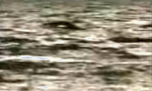 Effectplus_20160408_184742