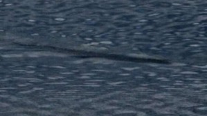 Screenshot_2016-03-01-22-46-11