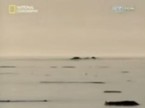 Screenshot_2015-12-28-23-28-07