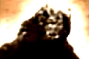 Screenshot_2016-03-12-04-01-04