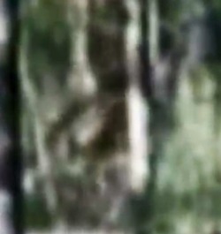 4fd5bb1c.jpg