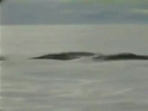 Screenshot_2016-04-06-12-11-49