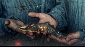 Screenshot_2016-03-10-19-49-10