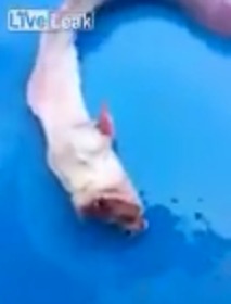 Screenshot_2016-04-30-08-06-45