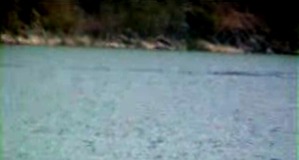 Screenshot_2016-05-26-17-55-29