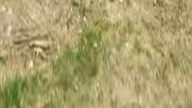 Screenshot_2015-11-18-09-56-41