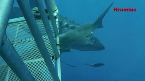 Screenshot_2015-12-22-18-27-36