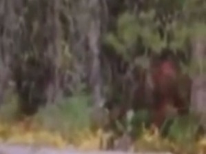 Screenshot_2016-03-17-07-06-19