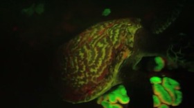 Screenshot_2015-11-02-09-05-00