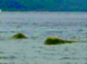 Effectplus_20160129_211324